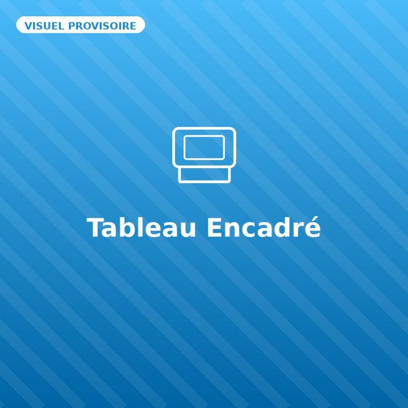 Tableau Encadré — visuel provisoire, à remplacer par votre propre photo